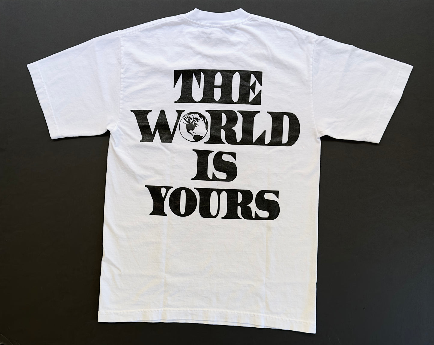 🌎Worlds Tee